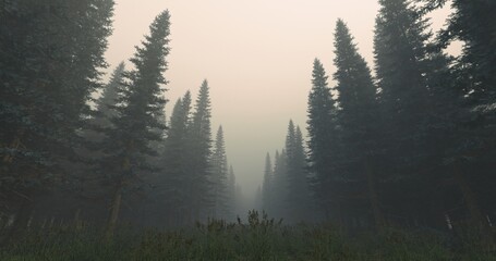 Green conifer trees forest. A straight forest road in fog. 3D rendering.