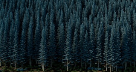 Green conifer trees forest. Abstract background. 3D rendering.