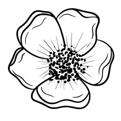 flower line art doodle