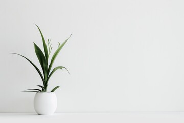 Clean, minimalist design featuring plenty of copy space.