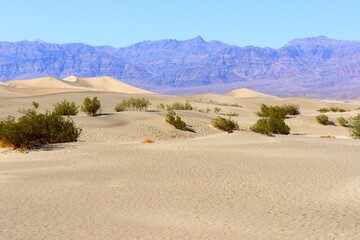 Death valley Mesquite desert sand dunes.