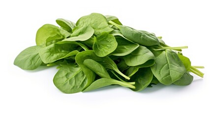 Fototapeta premium Bunch of spinach leaves on white background 