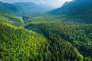 Fototapeta premium Aerial view of lush green forest and winding river surrounded by mountains, showcasing natural beauty and serene landscape.
