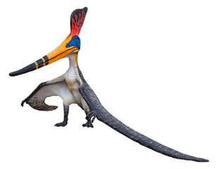 Pteranodon Sternbergi is an extinct genus of pteranodontid pterodactyloid pterosaur from the Late Cretaceous geological period © Around Ball