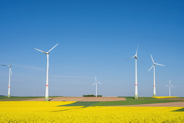 A field of flowering rapeseed with wind turbines seen in Germany