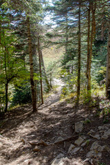 the beginning of autumn, walks in the highlands, panoramic views and glades with dried vegetation