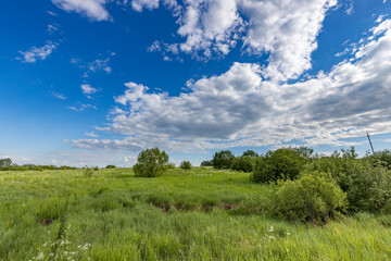 Fototapeta premium A panoramic view of a lush green meadow, dotted with small trees and shrubs, under a bright blue sky with fluffy white clouds.