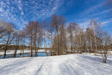  A tranquil winter landscape unfolds as the sun casts long shadows on the pristine snow-covered ground. Bare birch trees stand tall against the clear blue sky