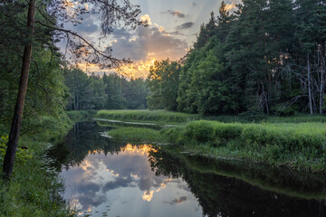 Obraz premium A serene river winds through a lush forest, reflecting the golden hues of a setting sun on its tranquil waters. The surrounding greenery creates a peaceful and picturesque scene.