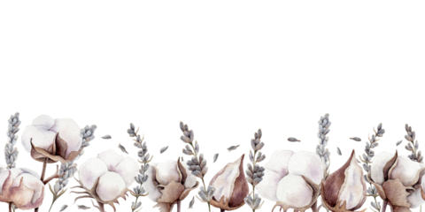 seamless border pattern made of hand drawn watercolor cotton and lavender illustrations. Botanical art for your postcard, notebook or other stationery design. Floral bouquet