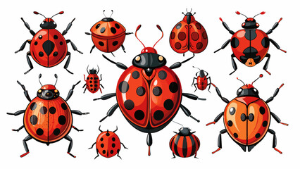 Set Of Lady Bugs Vector Illustration, Collection Of Lady Bugs
