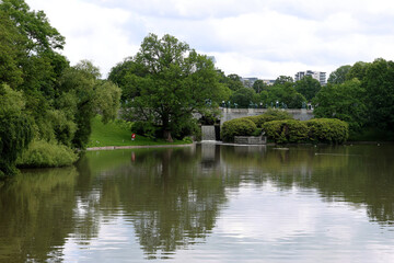 Fototapeta premium Park