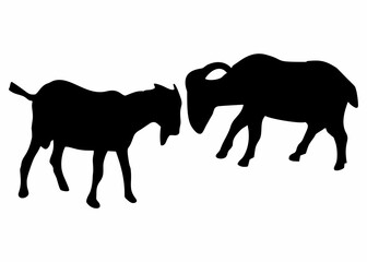 silhouette or illustration of goats fighting