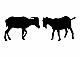 silhouette or illustration of goats fighting