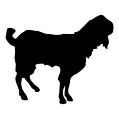 silhouette or illustration of a goat or sheep
