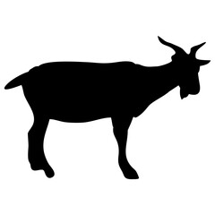 silhouette or illustration of a goat or sheep