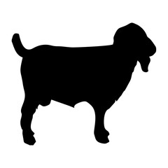 silhouette or illustration of a goat or sheep