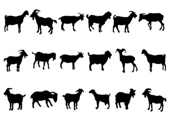 silhouette or illustration of a goat or sheep