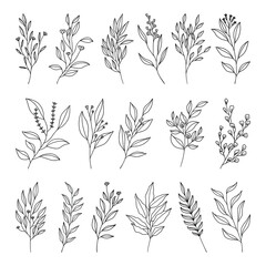 Set of leaves line art illustration vector