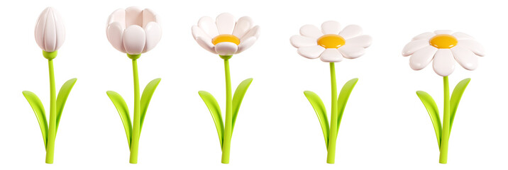 Daisy plastic flower flourish step process from bud to blossom with white petals, green stem and leaf. Cartoon icon 3d render set of chamomile bubble balloon bloom for spring and summer design.