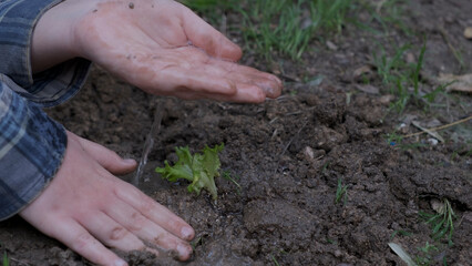 Boy planting a new tree, concept Save the Earth, save the world, save planet, ecology concept.photo