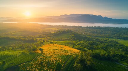 Fototapeta premium Picturesque sunrise over a valley of green fields and yellow flowers with mountain backdrop.