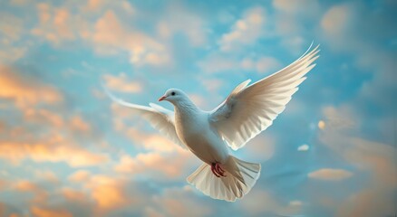 White Dove Soaring Through a Blue Sky With Fluffy Clouds