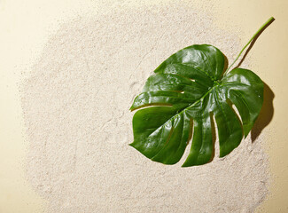 A big fresh leaf against a sea sand background. top view. An empty space for display cosmetic products, food and props.