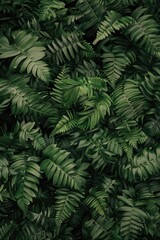 Fototapeta premium A close-up shot of a bunch of green plants with leaves and stems