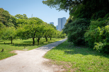 Building and Trees in a beautiful Japanese garden