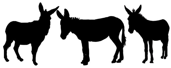 silhouettes of a donkey
