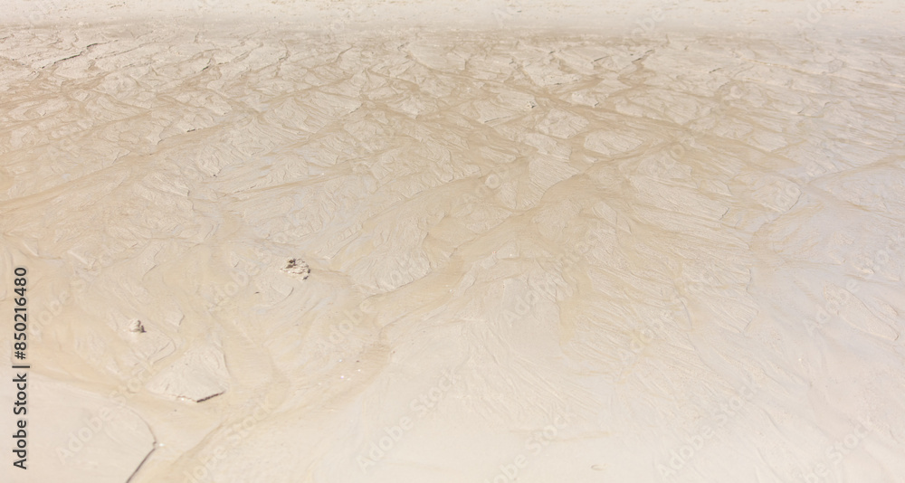 Wall mural white sand on the seashore as an abstract background. texture