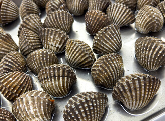 Seashells on a market counter