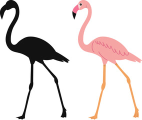 pink flamingo with silhouette, vector