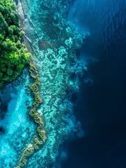 Tableau sur plexiglas  A stunning aerial view of a coral reef in the Maldives. AI.  © sergio