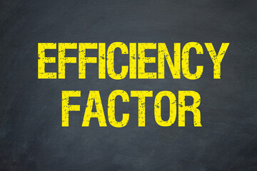 Efficiency Factor