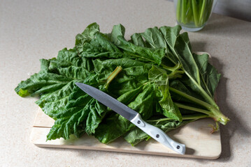 Table green rhubarb leaves and a knife