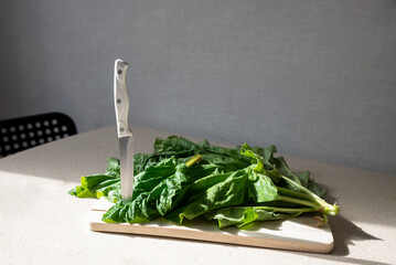 Table green rhubarb leaves and a knife