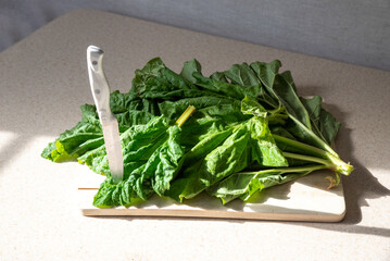 Table green rhubarb leaves and a knife