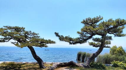 A shrine in Otsu, Shiga, Japan, with the Japanese writing 