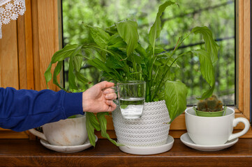 Kobieta trzyma kubek z wodą na tle roślin doniczkowych 