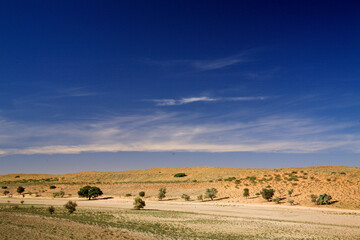 Obraz premium Kgalagadi Transfrontier Park one of the great parks of South Africa wildlife and hospitality in the Kalahari desert