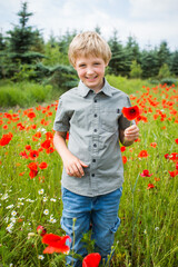 Junge im Mohnfeld