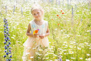 in der Sonne Blumen pflücken