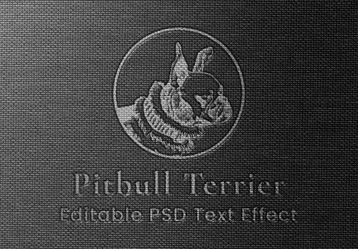 Debossed Textile Logo Text Effect