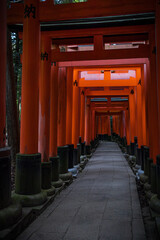 Walking Through Fushimi Inari Empty