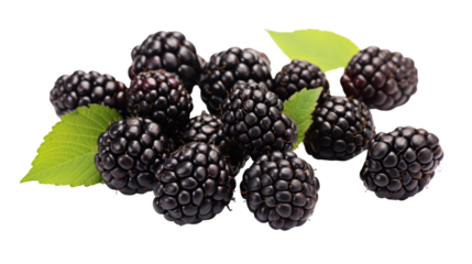 Ripe Blackberries With Green Leaves on a White Background