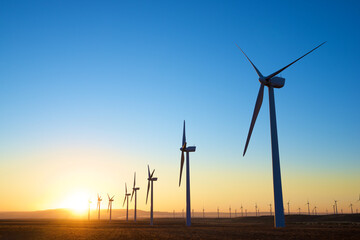 Wind turbine generators for renewable electricity production