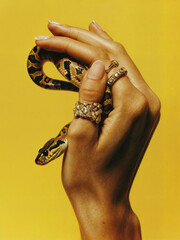 A woman's hand with a beautiful manicure and painted nails holds a snake on a yellow background. Hand with a snake in beauty editorial style