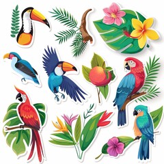 Obraz premium set of birds